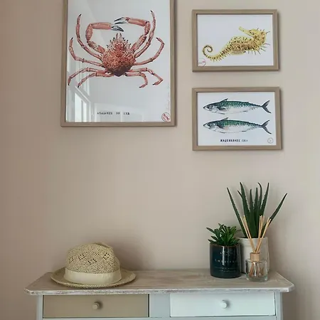 Front De Mer Magnifique 2 Apartamento *